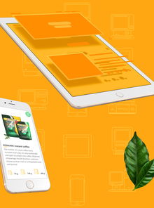 Romani 速溶咖啡 品牌形象重塑与全方位企业形象策划